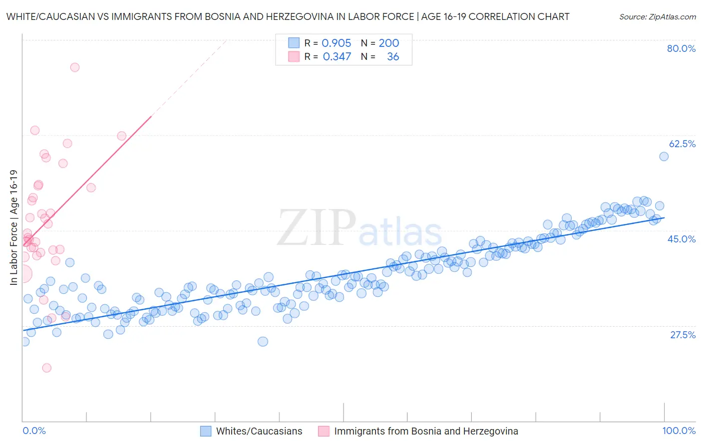 White/Caucasian vs Immigrants from Bosnia and Herzegovina In Labor Force | Age 16-19