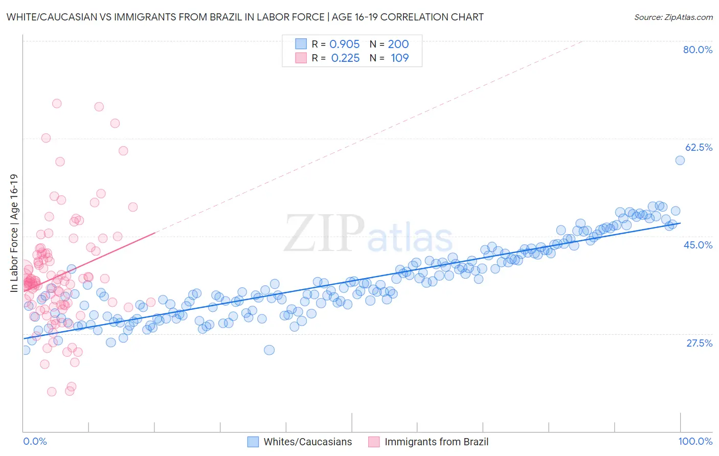 White/Caucasian vs Immigrants from Brazil In Labor Force | Age 16-19