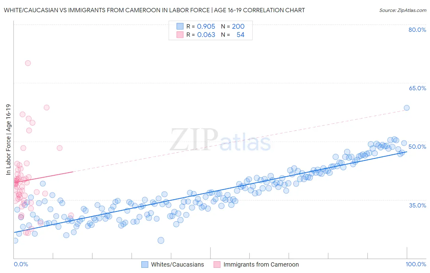 White/Caucasian vs Immigrants from Cameroon In Labor Force | Age 16-19
