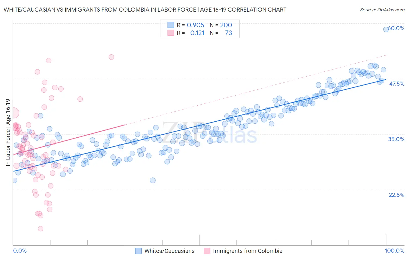 White/Caucasian vs Immigrants from Colombia In Labor Force | Age 16-19
