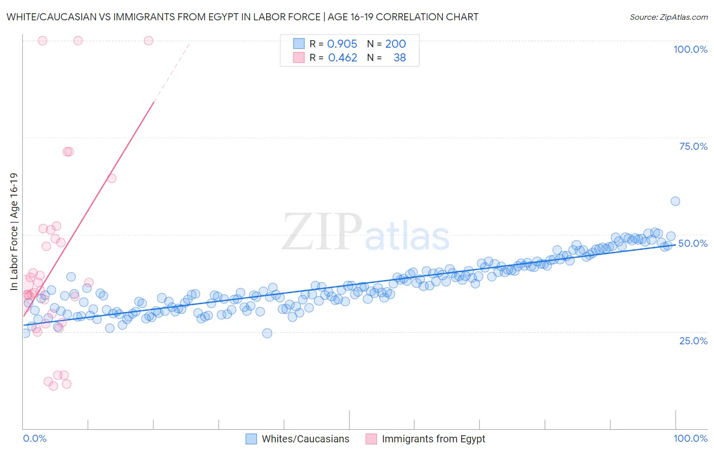 White/Caucasian vs Immigrants from Egypt In Labor Force | Age 16-19