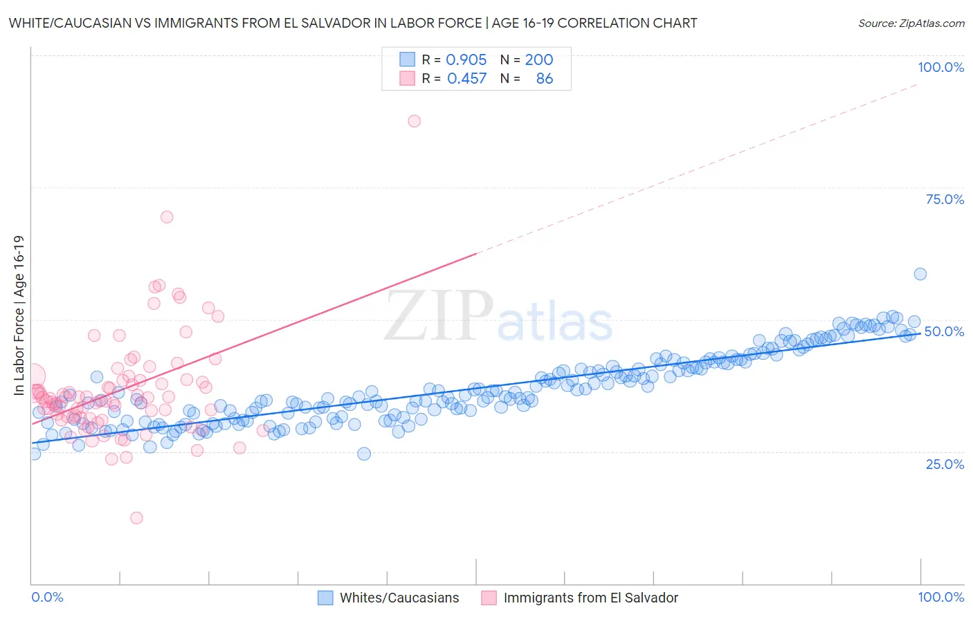 White/Caucasian vs Immigrants from El Salvador In Labor Force | Age 16-19