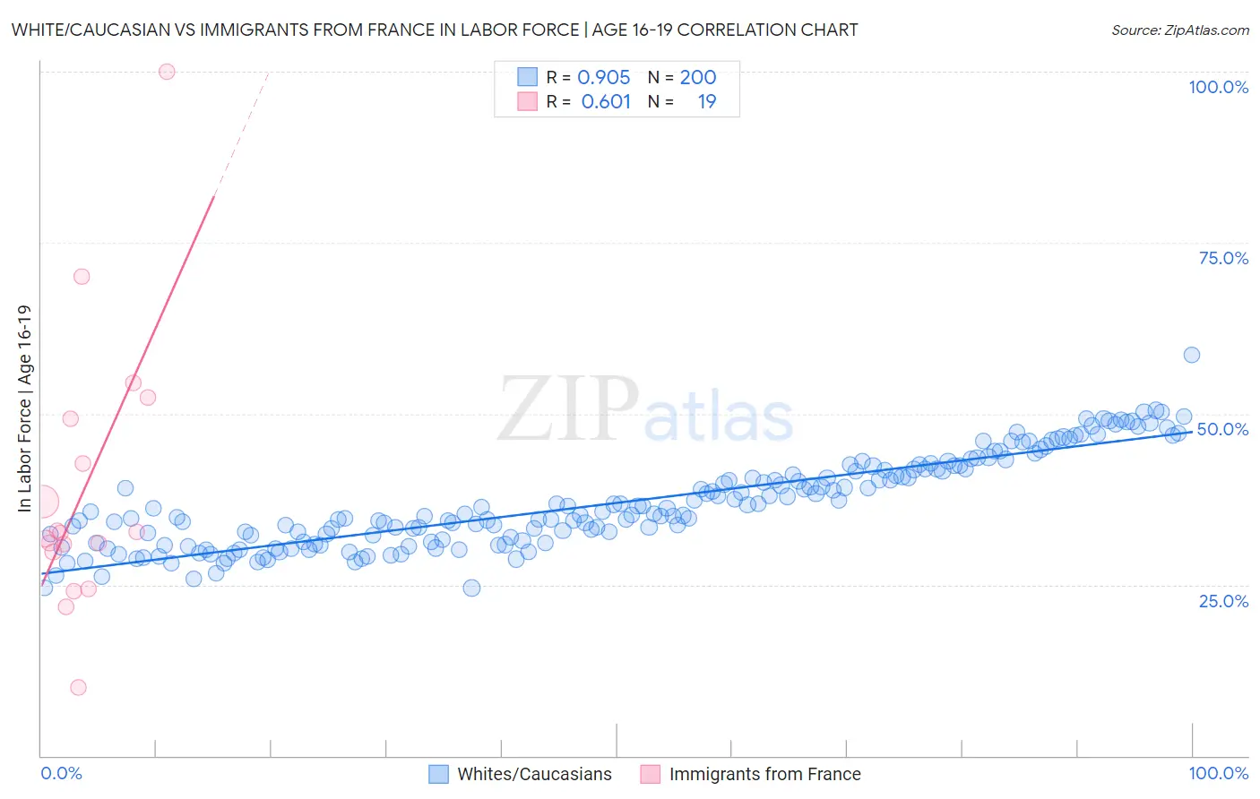 White/Caucasian vs Immigrants from France In Labor Force | Age 16-19
