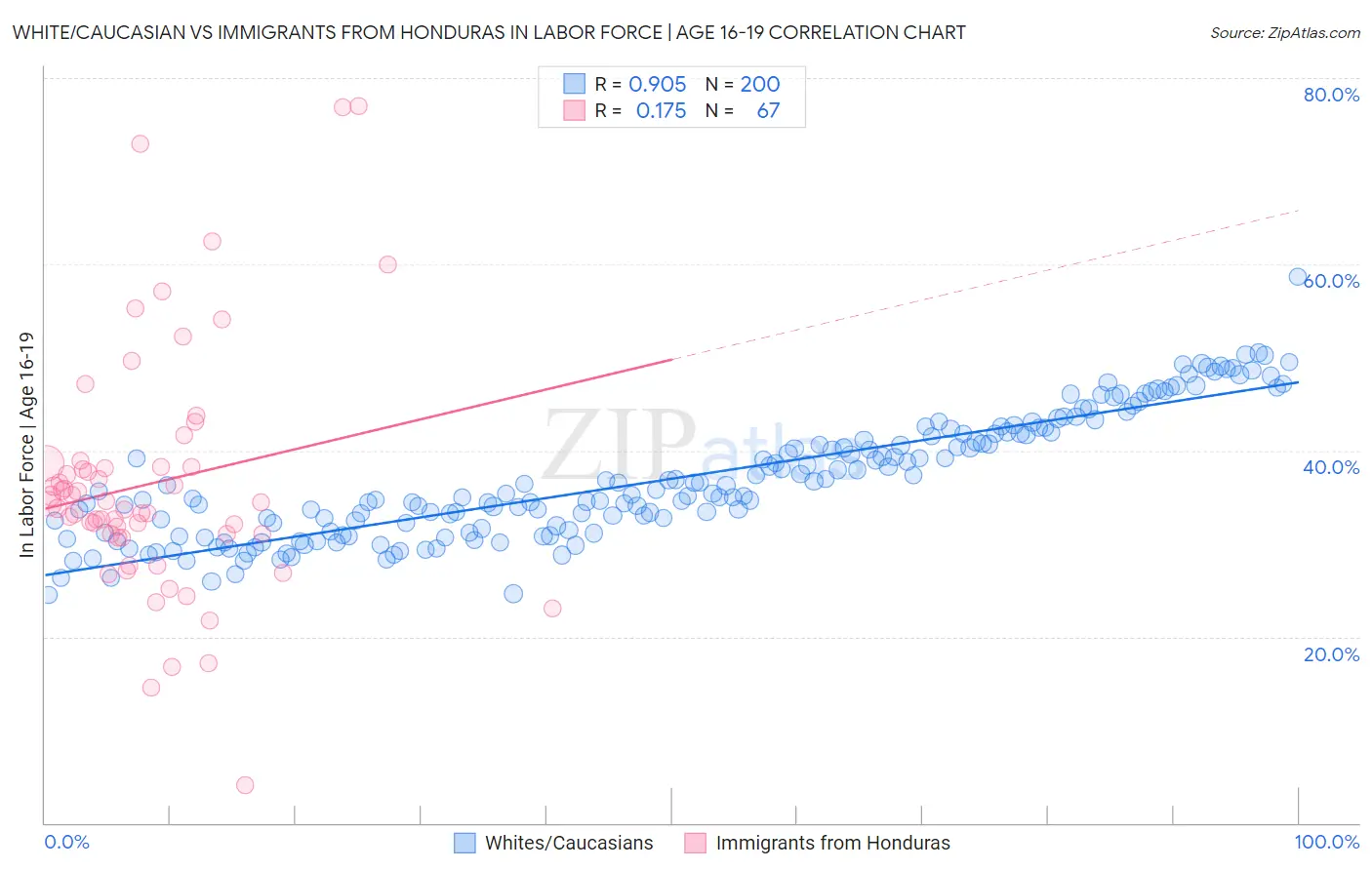 White/Caucasian vs Immigrants from Honduras In Labor Force | Age 16-19
