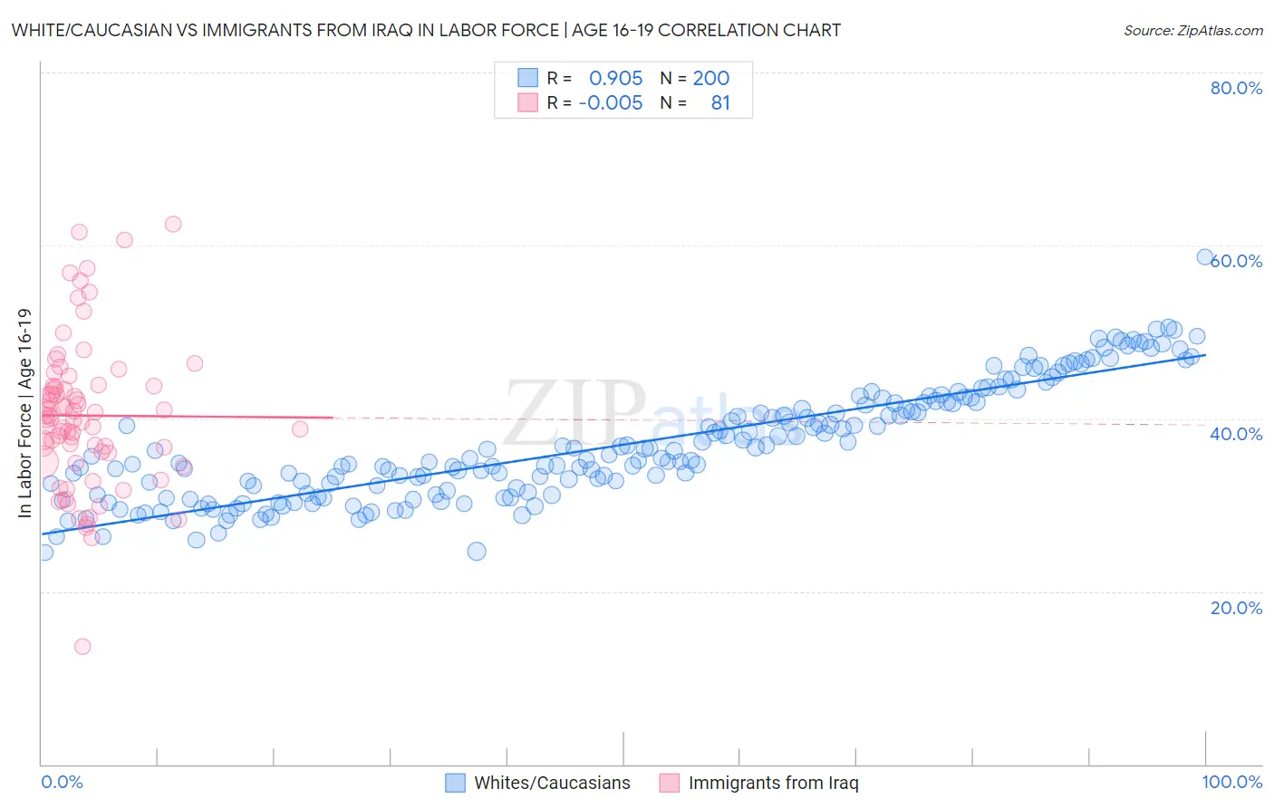 White/Caucasian vs Immigrants from Iraq In Labor Force | Age 16-19
