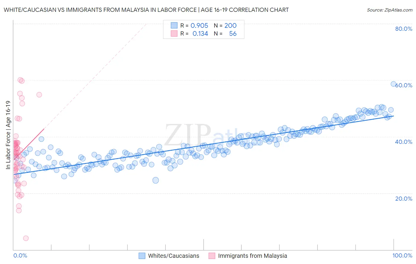 White/Caucasian vs Immigrants from Malaysia In Labor Force | Age 16-19