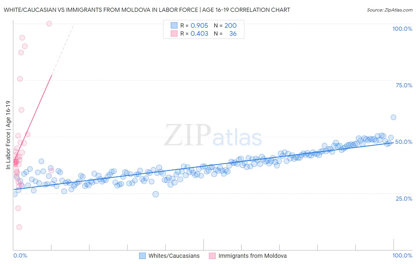 White/Caucasian vs Immigrants from Moldova In Labor Force | Age 16-19