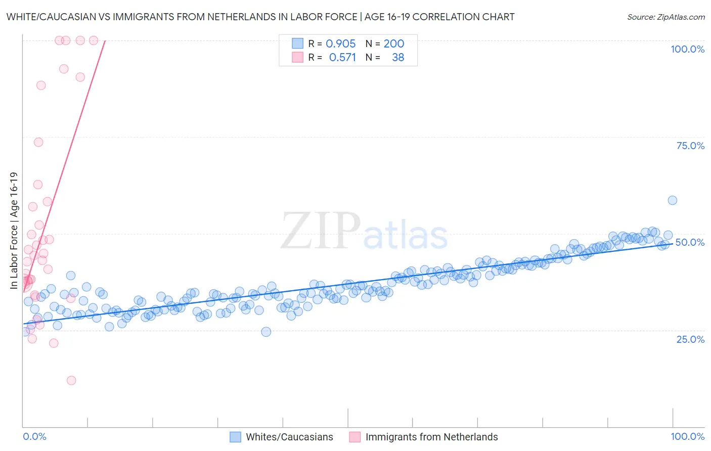 White/Caucasian vs Immigrants from Netherlands In Labor Force | Age 16-19