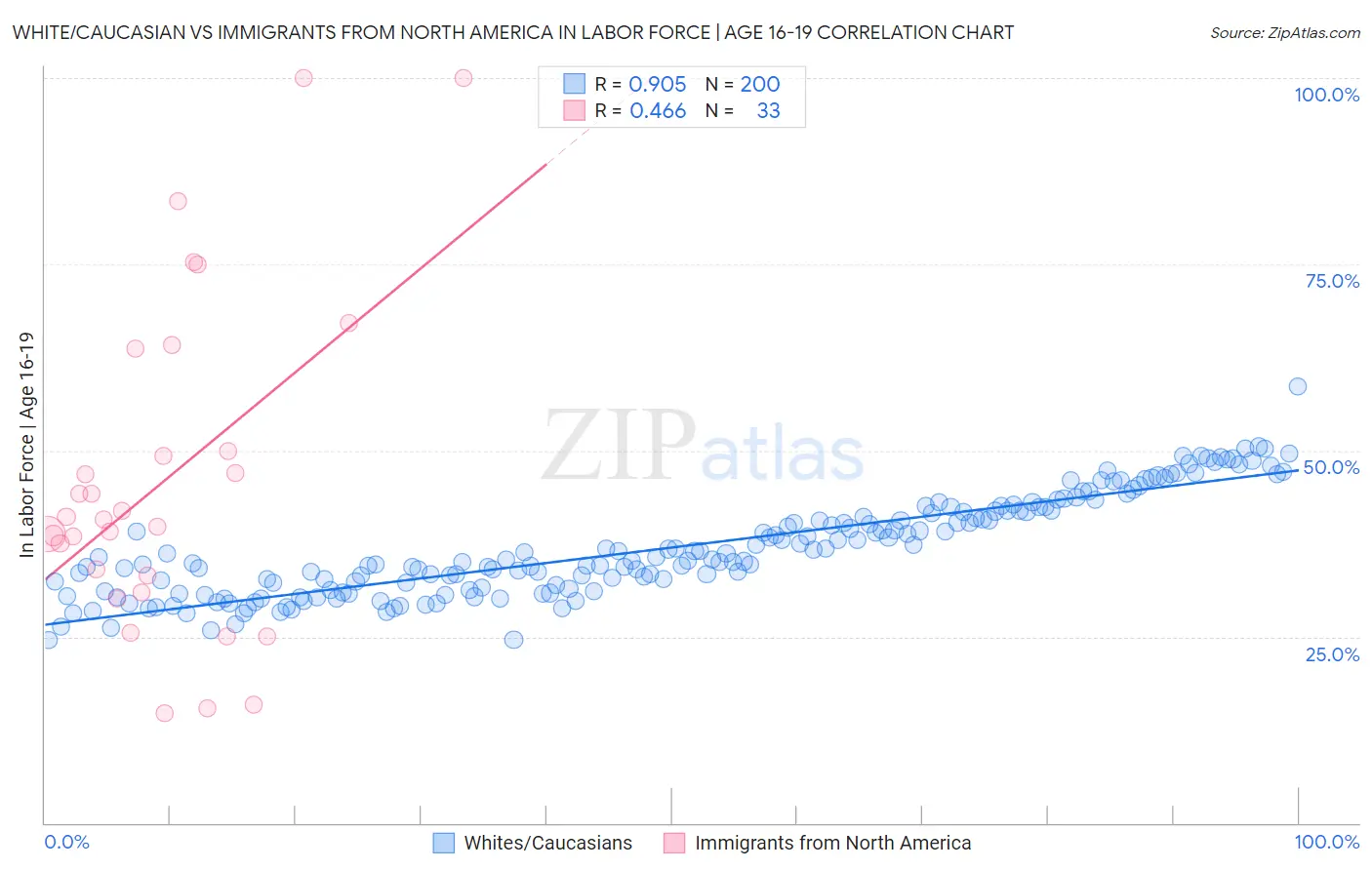 White/Caucasian vs Immigrants from North America In Labor Force | Age 16-19