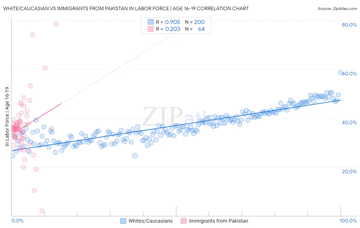 White/Caucasian vs Immigrants from Pakistan In Labor Force | Age 16-19