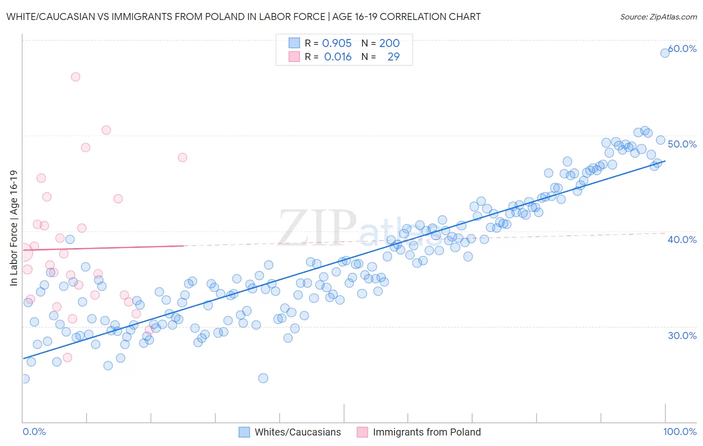 White/Caucasian vs Immigrants from Poland In Labor Force | Age 16-19