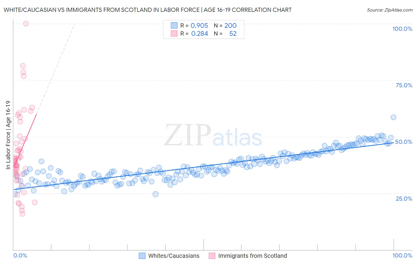 White/Caucasian vs Immigrants from Scotland In Labor Force | Age 16-19