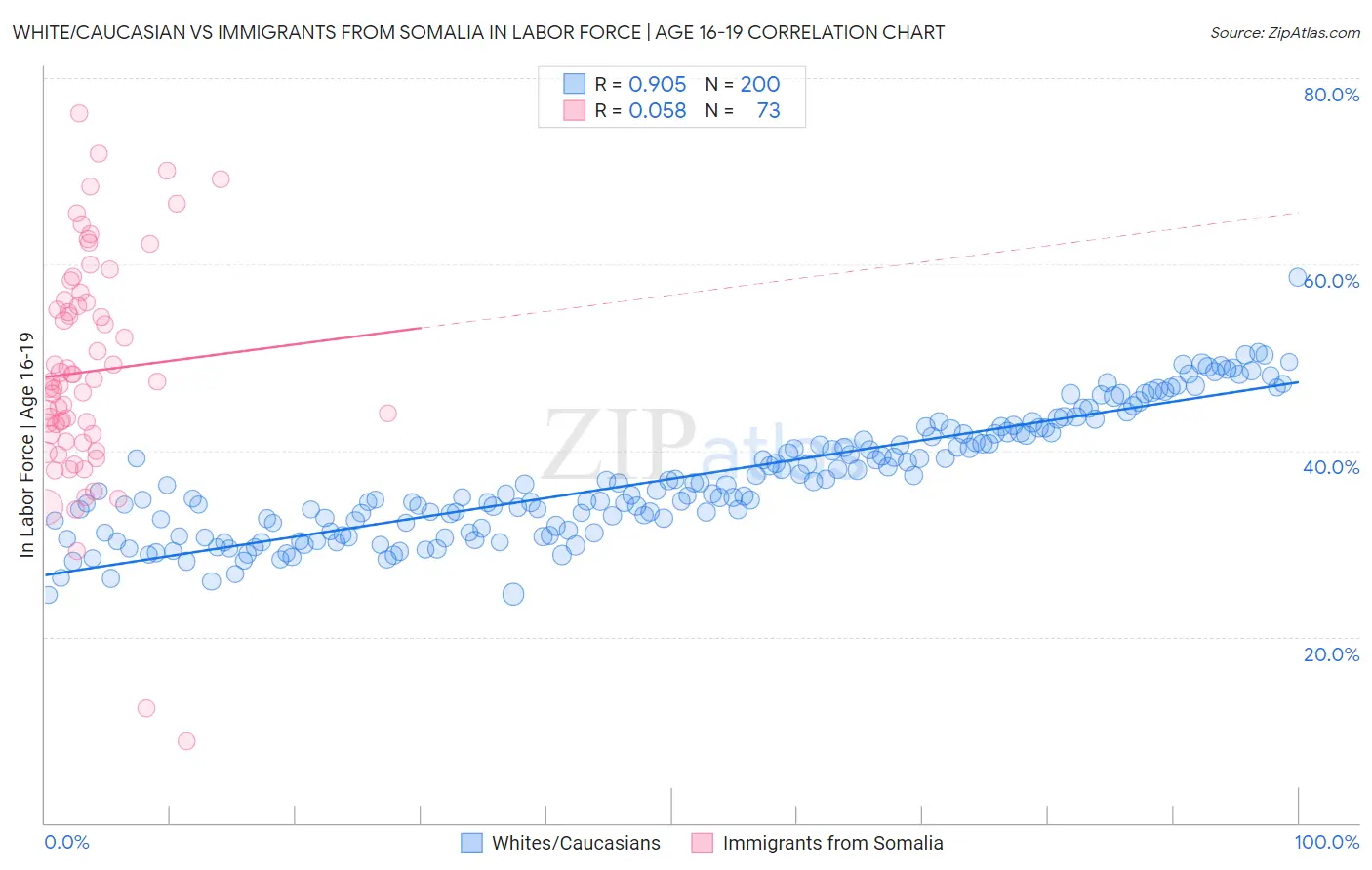 White/Caucasian vs Immigrants from Somalia In Labor Force | Age 16-19