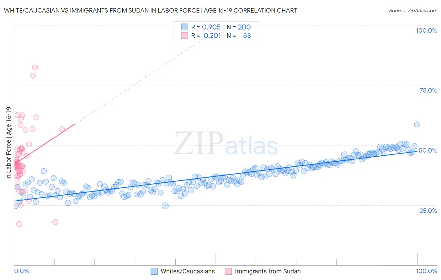 White/Caucasian vs Immigrants from Sudan In Labor Force | Age 16-19