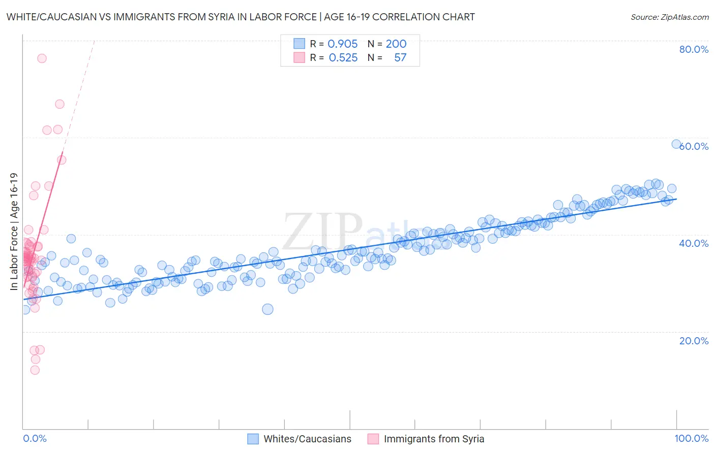 White/Caucasian vs Immigrants from Syria In Labor Force | Age 16-19