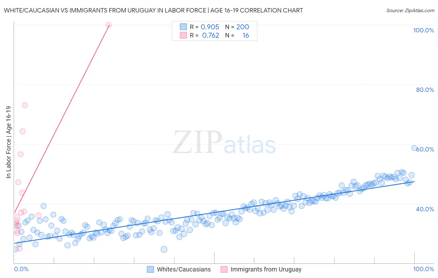 White/Caucasian vs Immigrants from Uruguay In Labor Force | Age 16-19