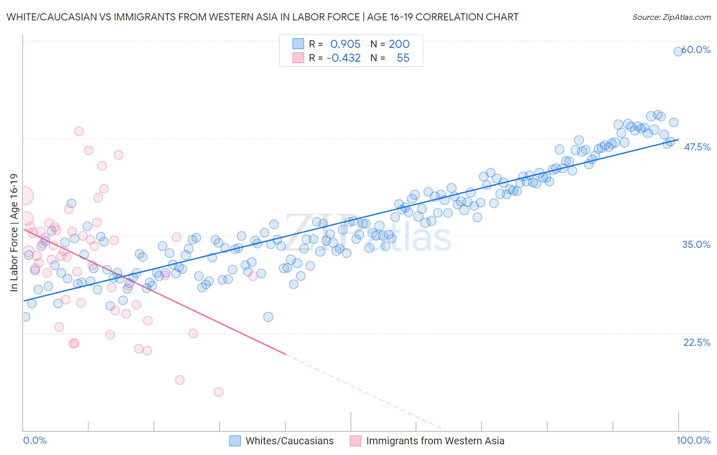 White/Caucasian vs Immigrants from Western Asia In Labor Force | Age 16-19