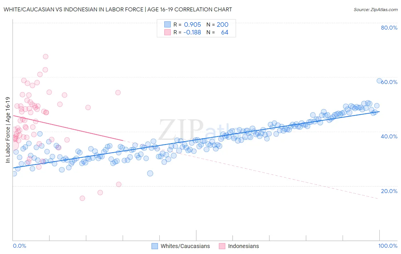 White/Caucasian vs Indonesian In Labor Force | Age 16-19