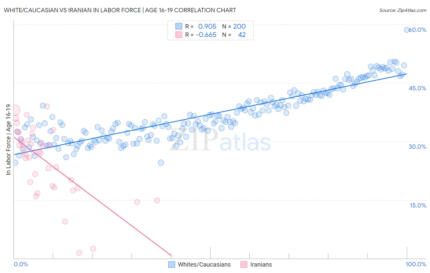 White/Caucasian vs Iranian In Labor Force | Age 16-19