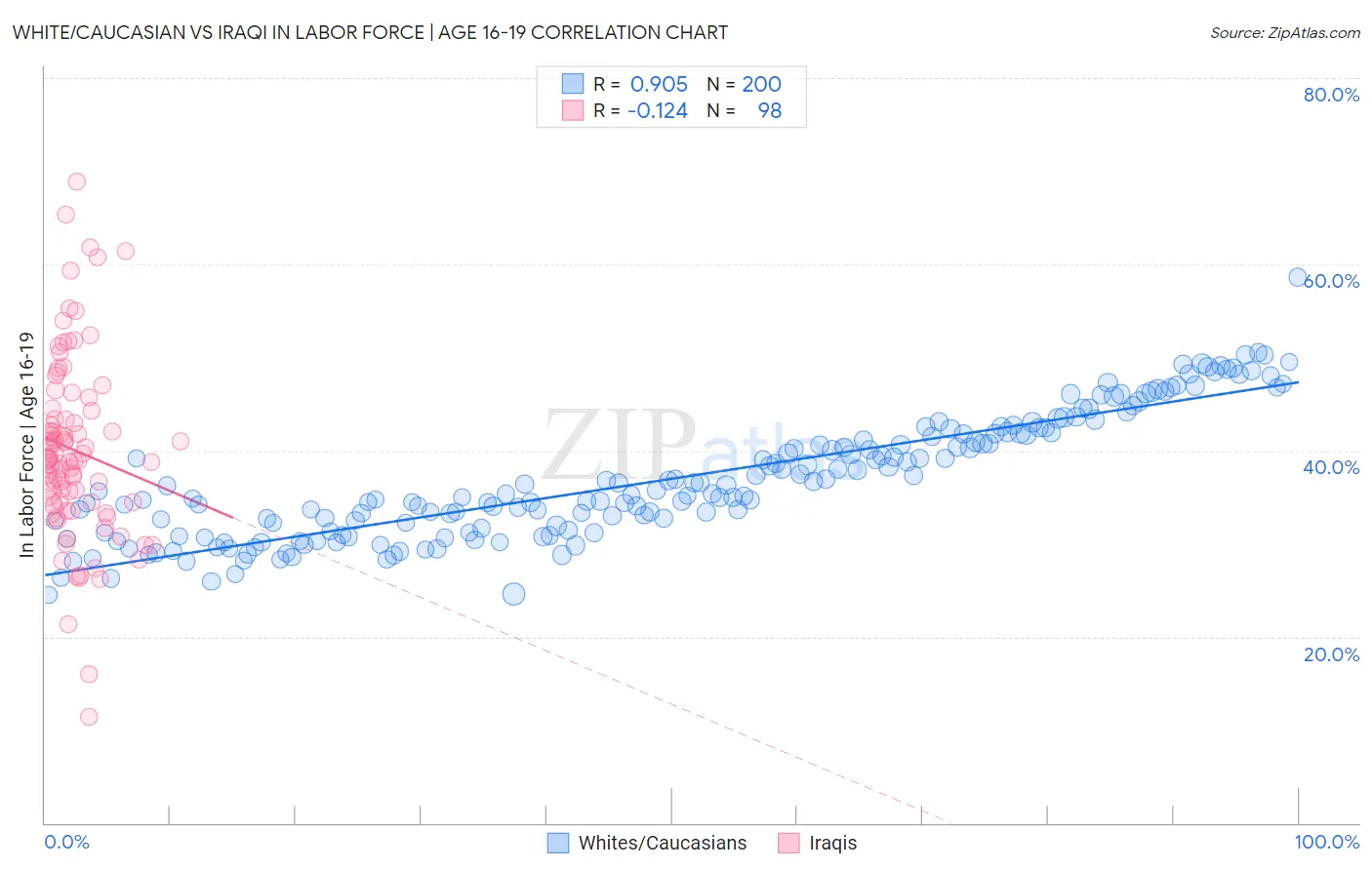 White/Caucasian vs Iraqi In Labor Force | Age 16-19