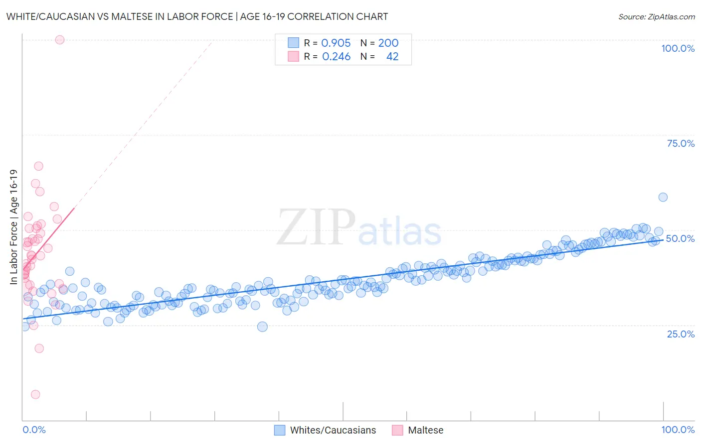 White/Caucasian vs Maltese In Labor Force | Age 16-19