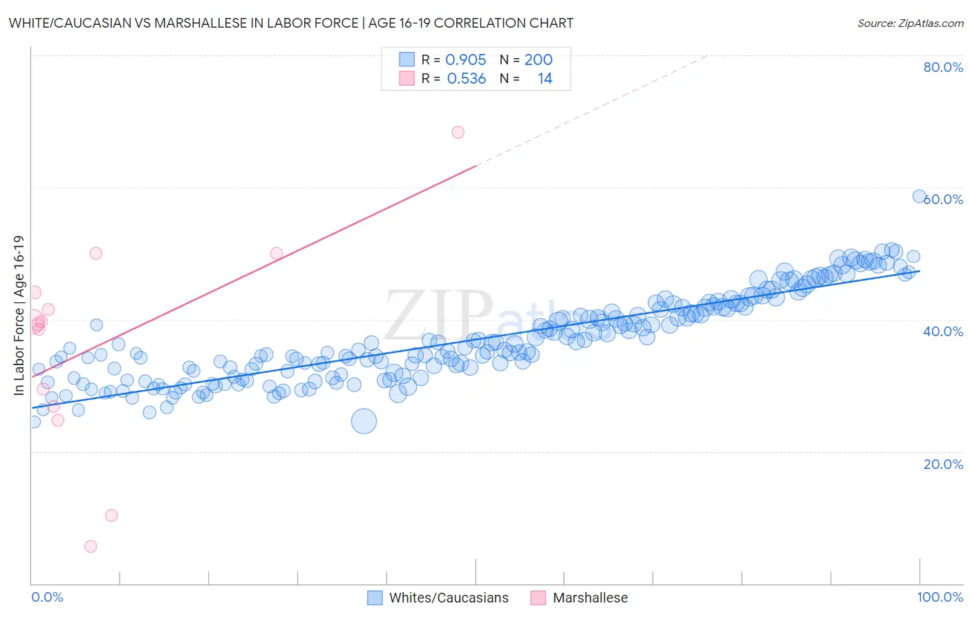 White/Caucasian vs Marshallese In Labor Force | Age 16-19