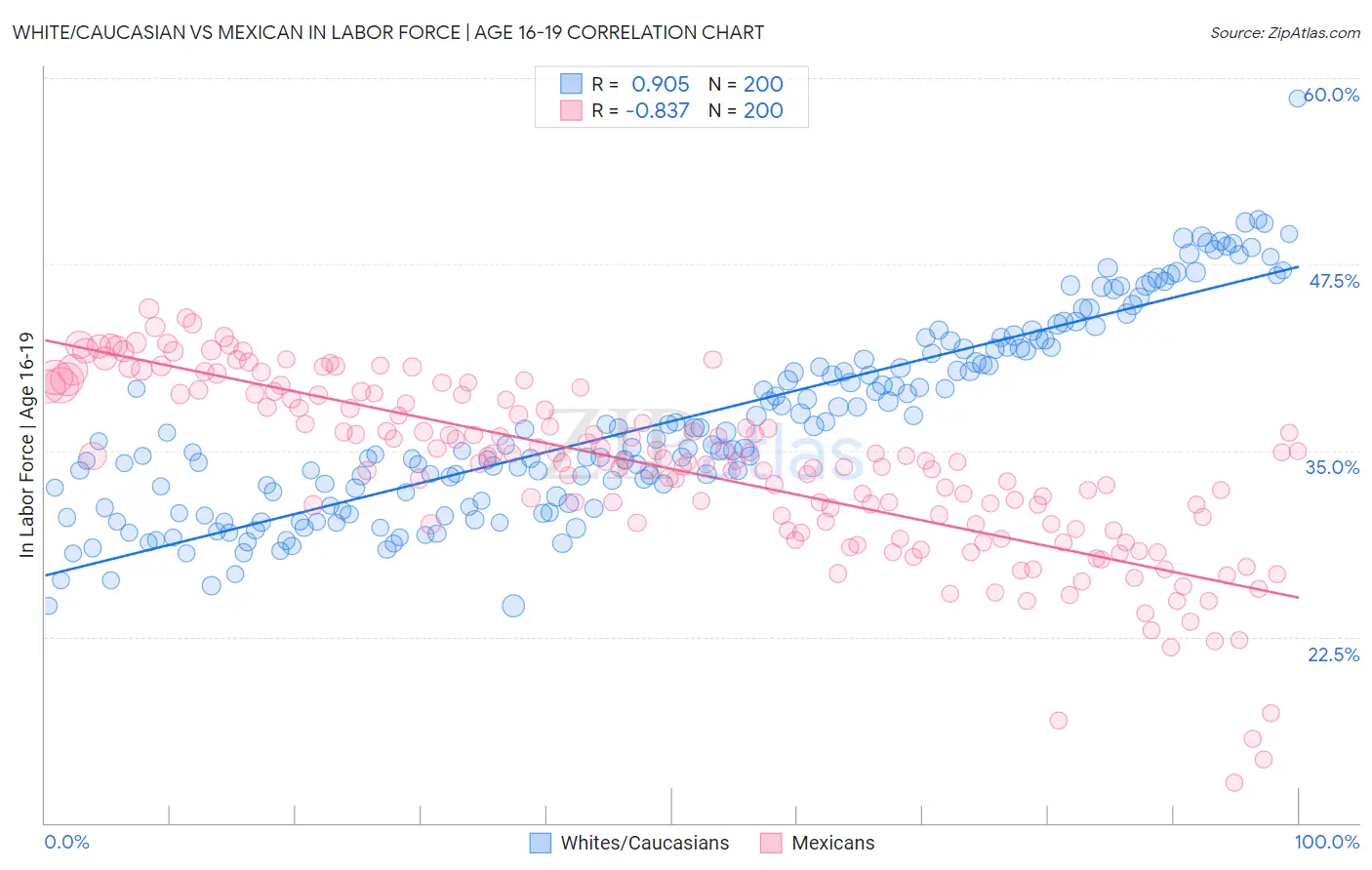 White/Caucasian vs Mexican In Labor Force | Age 16-19