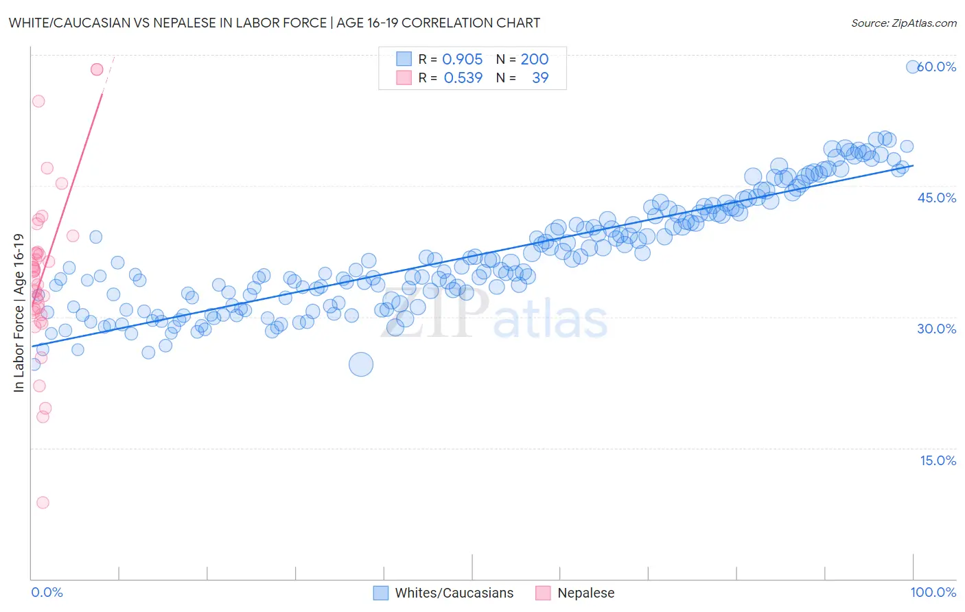 White/Caucasian vs Nepalese In Labor Force | Age 16-19