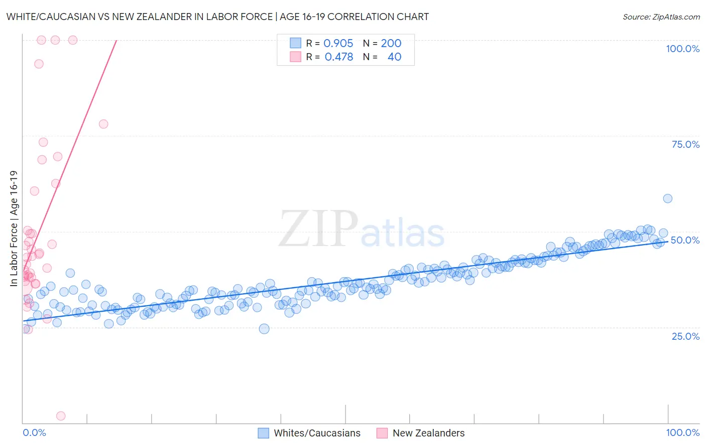 White/Caucasian vs New Zealander In Labor Force | Age 16-19