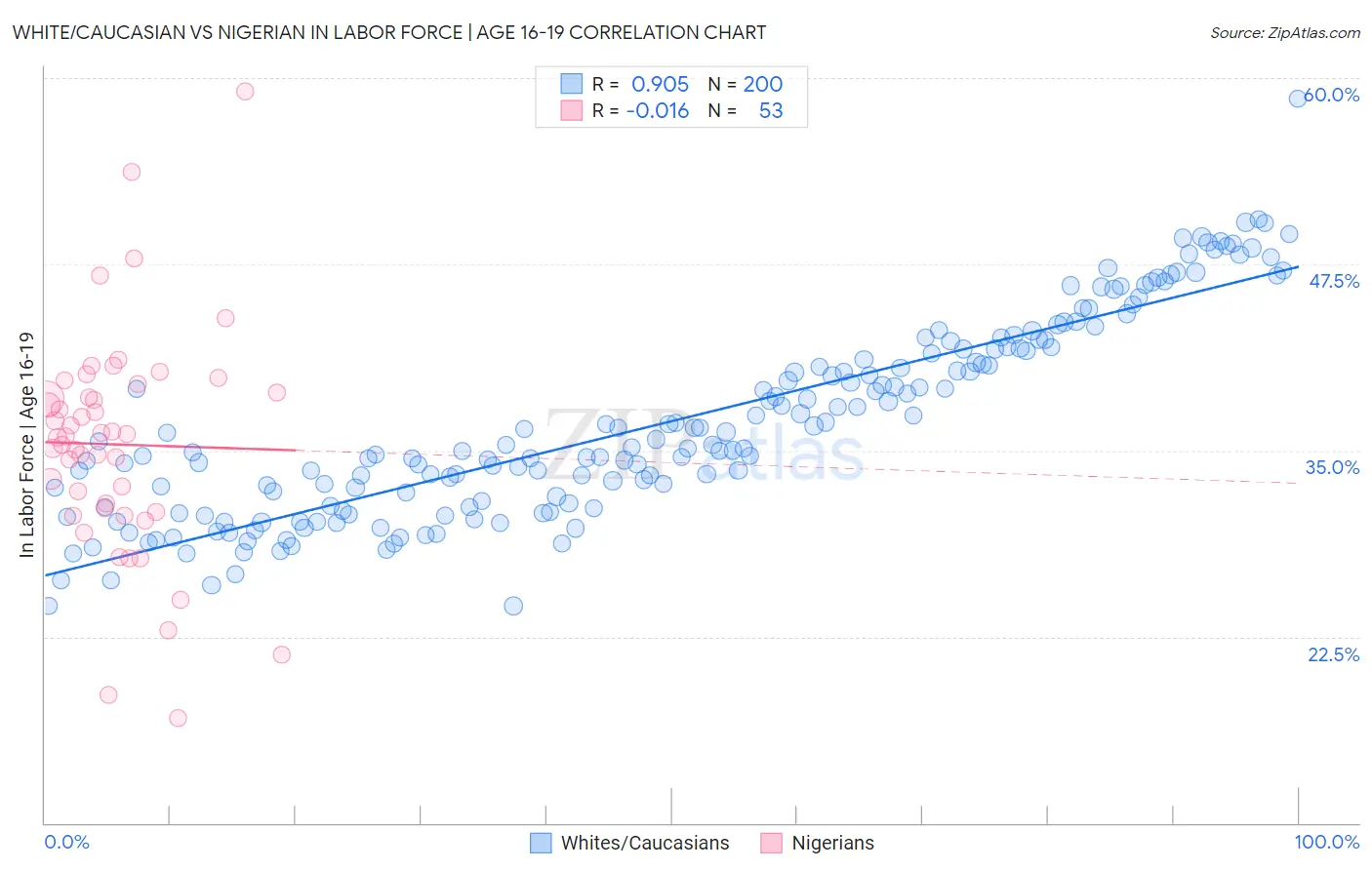 White/Caucasian vs Nigerian In Labor Force | Age 16-19