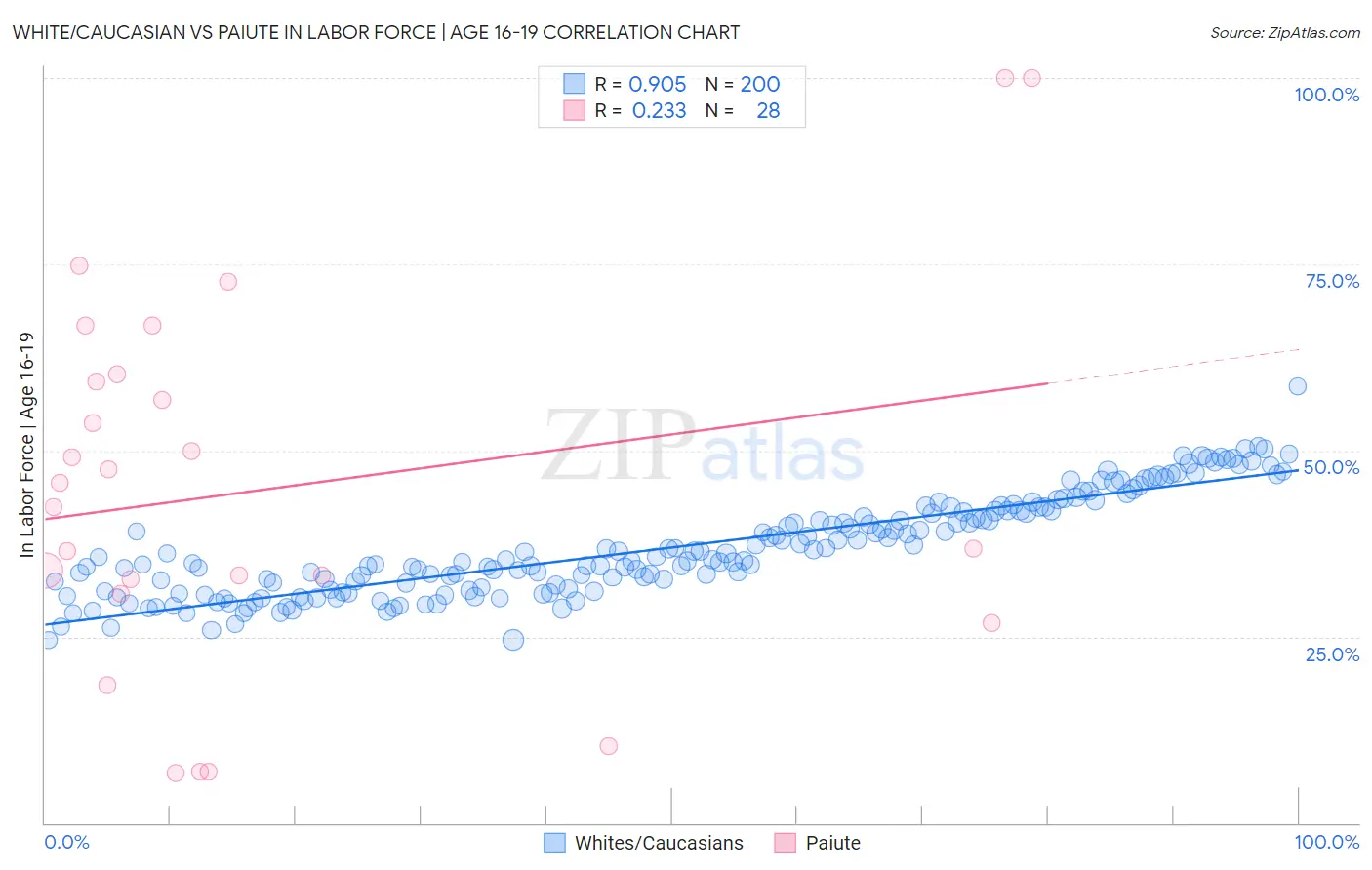 White/Caucasian vs Paiute In Labor Force | Age 16-19