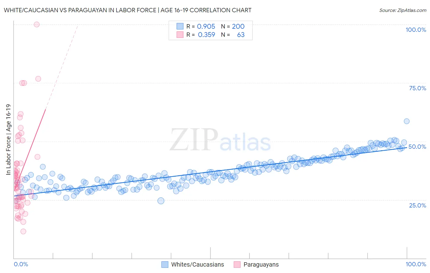 White/Caucasian vs Paraguayan In Labor Force | Age 16-19