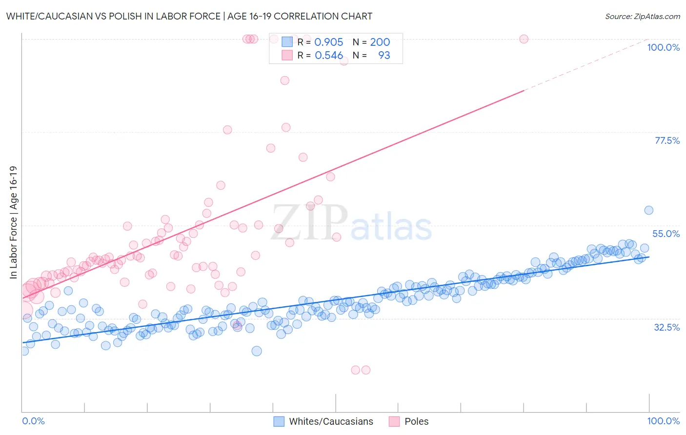 White/Caucasian vs Polish In Labor Force | Age 16-19