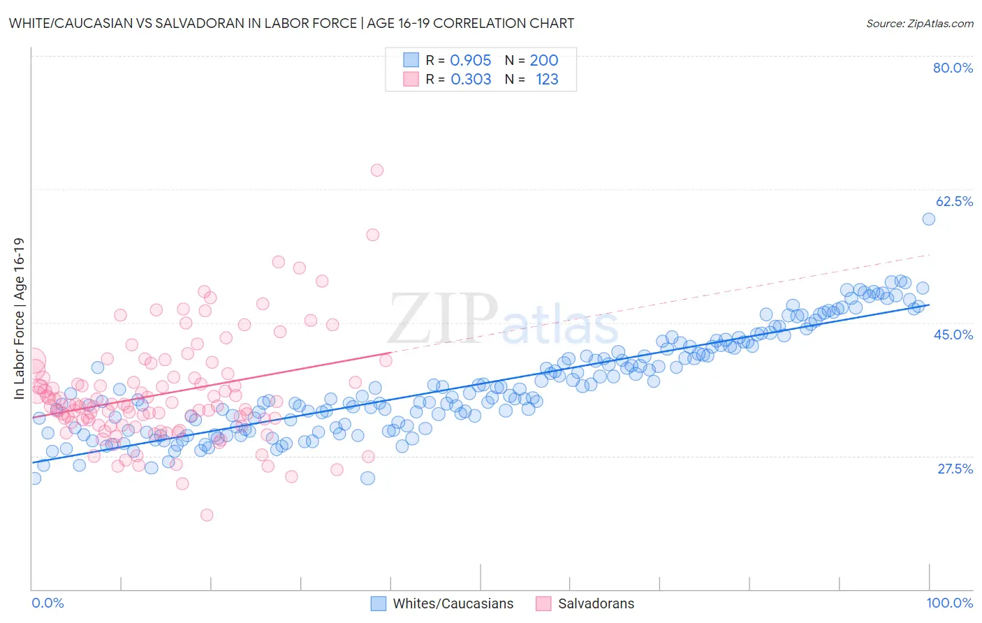 White/Caucasian vs Salvadoran In Labor Force | Age 16-19