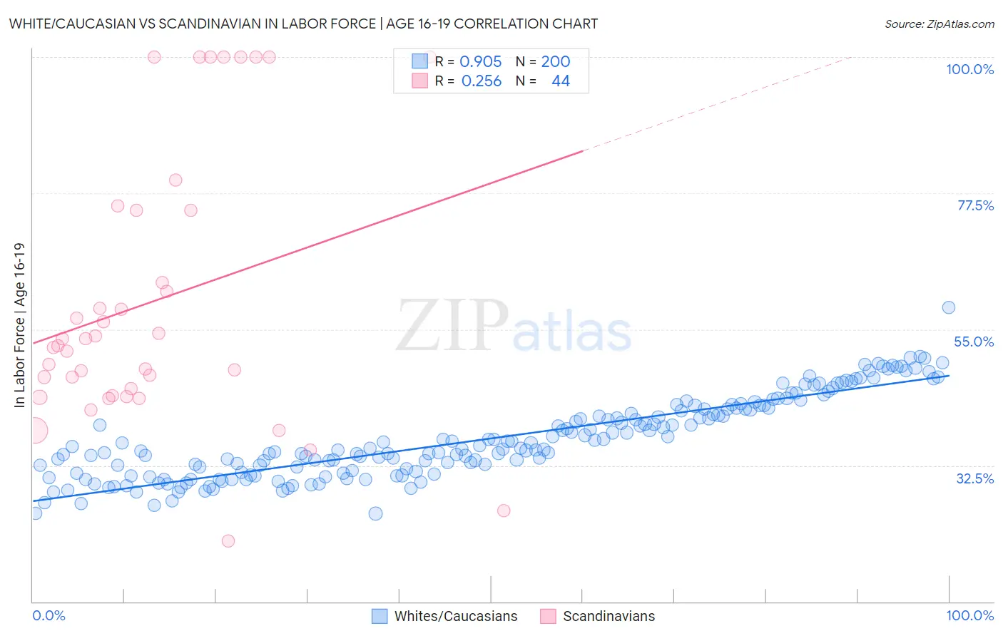 White/Caucasian vs Scandinavian In Labor Force | Age 16-19