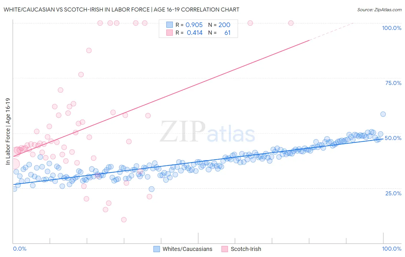 White/Caucasian vs Scotch-Irish In Labor Force | Age 16-19