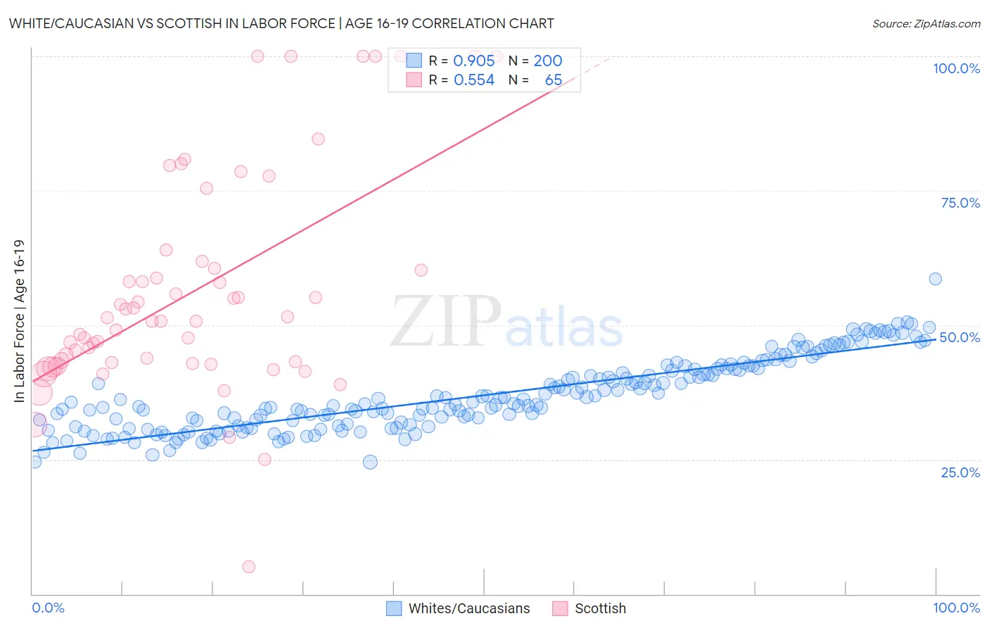 White/Caucasian vs Scottish In Labor Force | Age 16-19