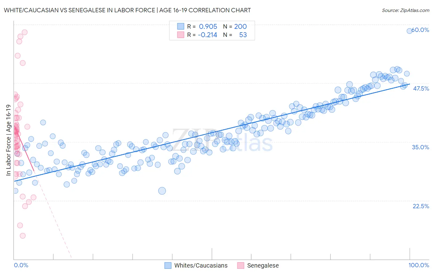 White/Caucasian vs Senegalese In Labor Force | Age 16-19