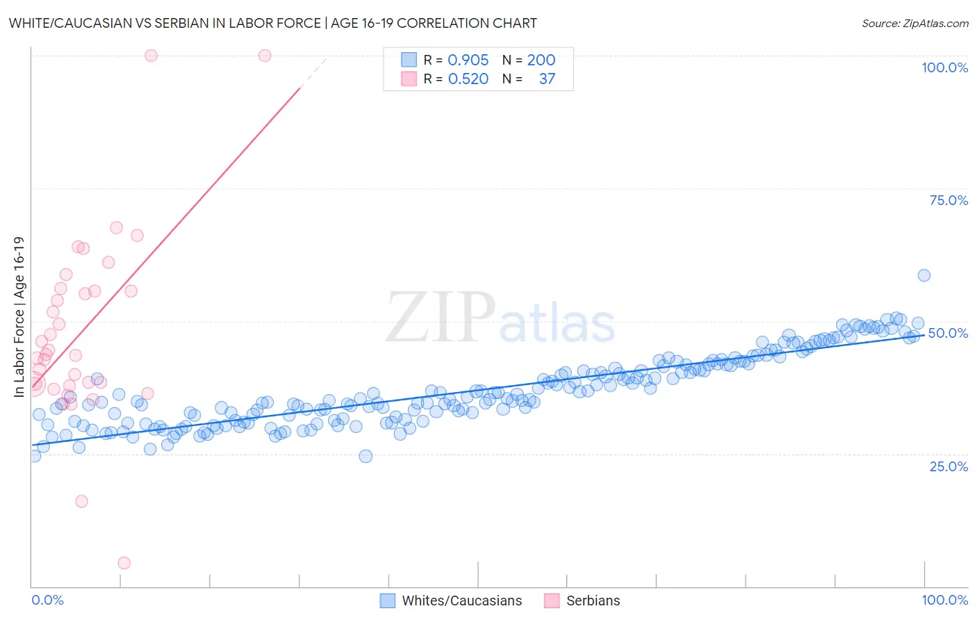 White/Caucasian vs Serbian In Labor Force | Age 16-19