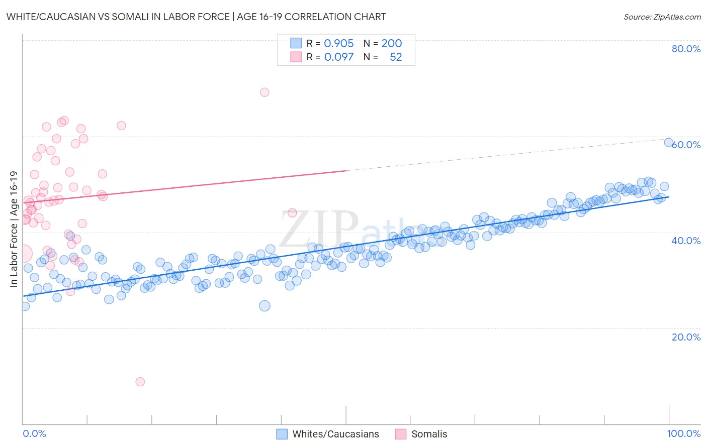 White/Caucasian vs Somali In Labor Force | Age 16-19