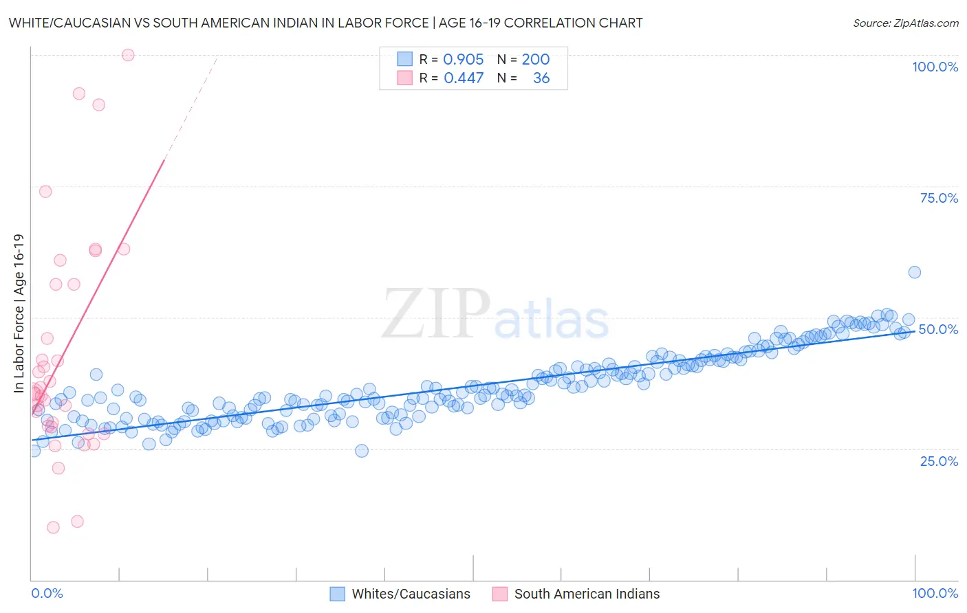White/Caucasian vs South American Indian In Labor Force | Age 16-19