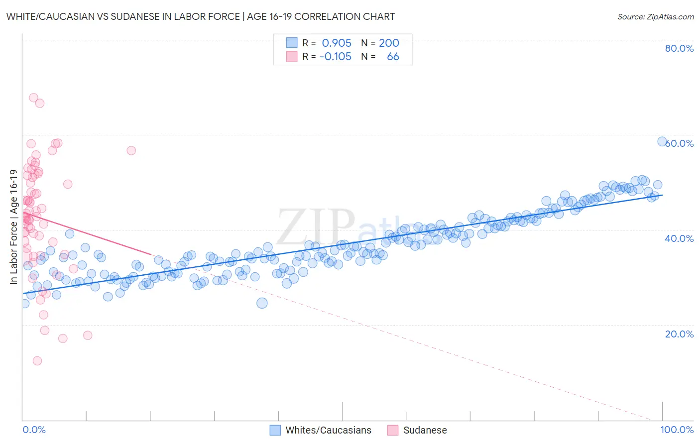 White/Caucasian vs Sudanese In Labor Force | Age 16-19