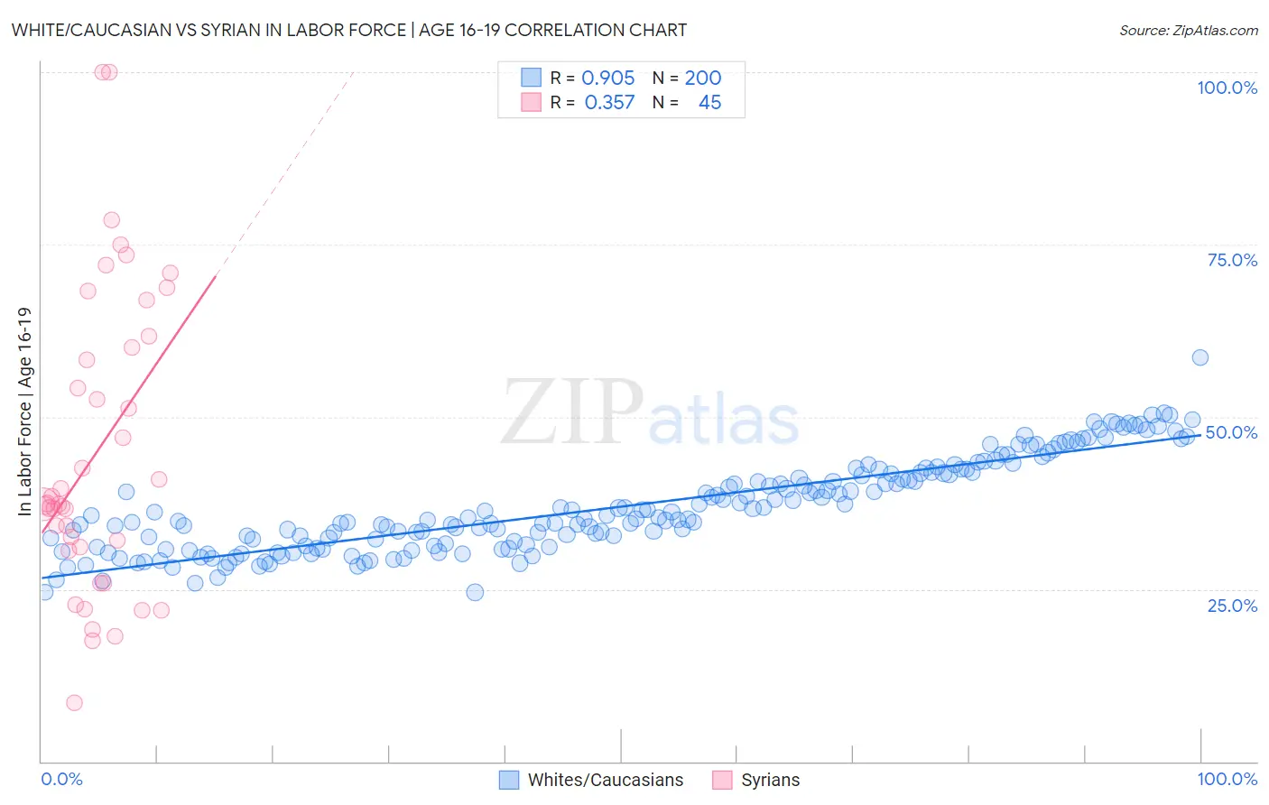 White/Caucasian vs Syrian In Labor Force | Age 16-19