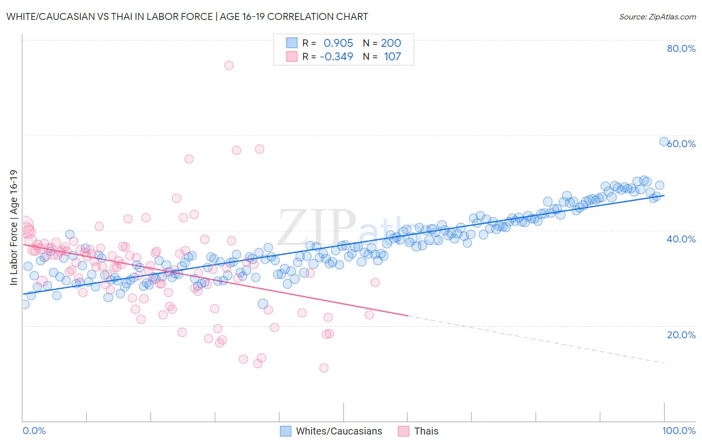 White/Caucasian vs Thai In Labor Force | Age 16-19