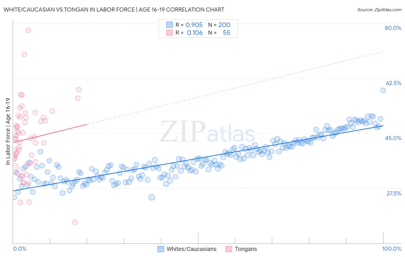 White/Caucasian vs Tongan In Labor Force | Age 16-19