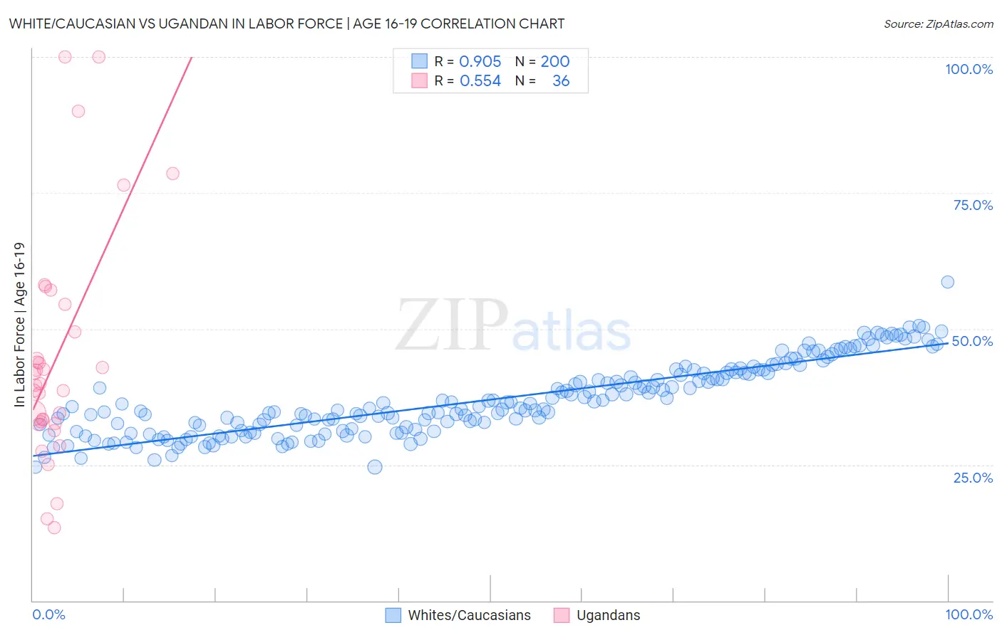 White/Caucasian vs Ugandan In Labor Force | Age 16-19