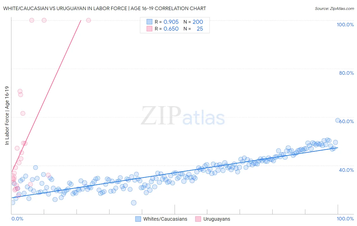 White/Caucasian vs Uruguayan In Labor Force | Age 16-19