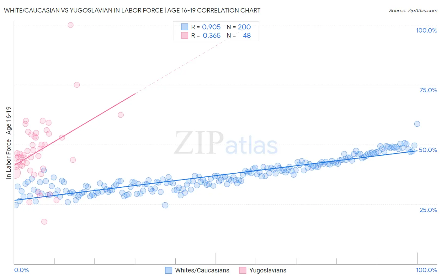 White/Caucasian vs Yugoslavian In Labor Force | Age 16-19