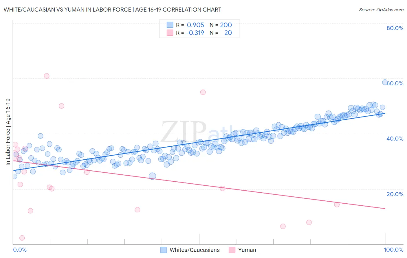 White/Caucasian vs Yuman In Labor Force | Age 16-19
