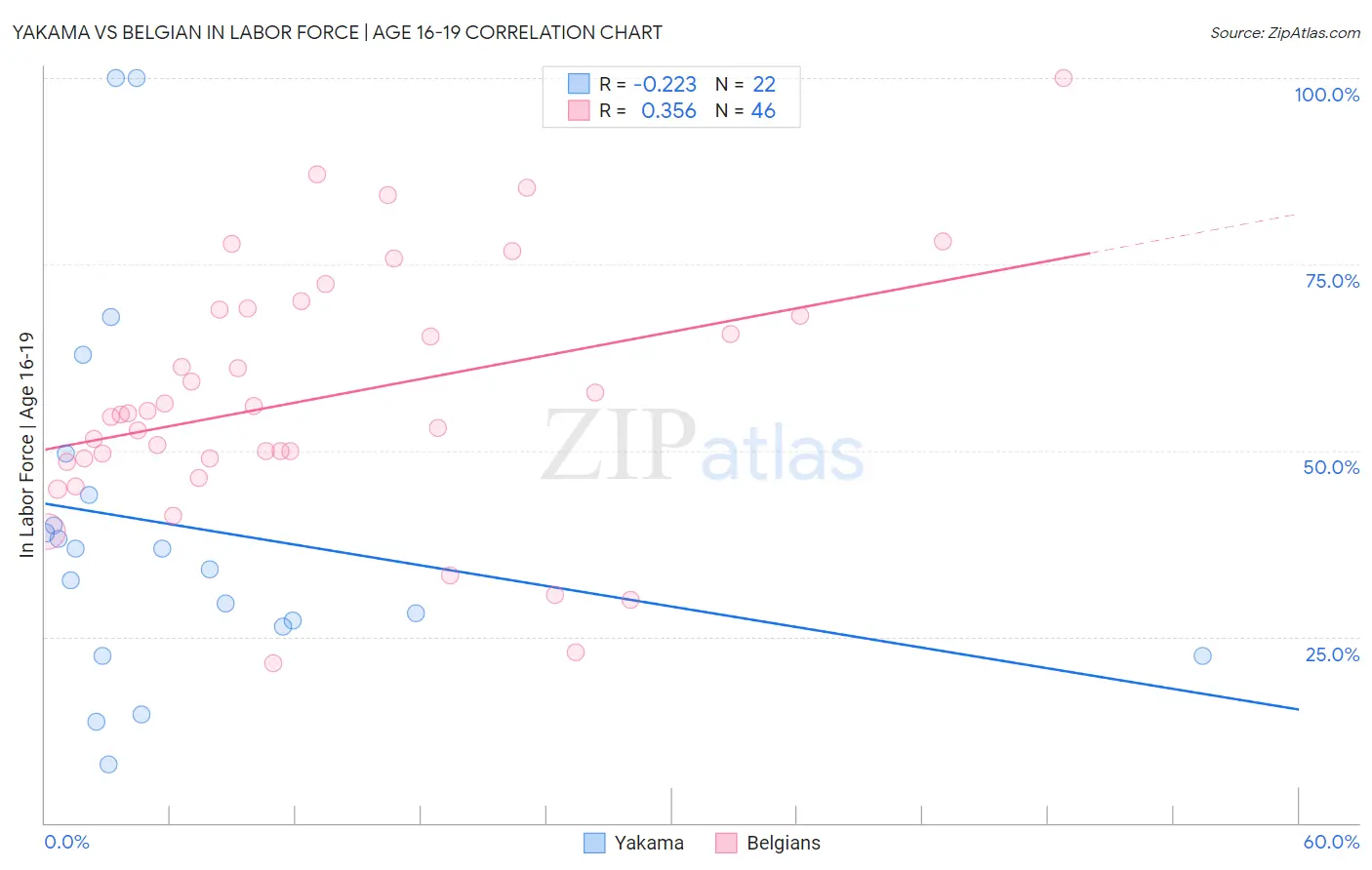 Yakama vs Belgian In Labor Force | Age 16-19